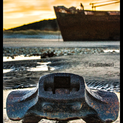 Foto del perfil de Alexis Delelisi