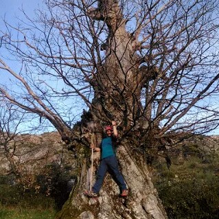 Foto del perfil de ivan diez lorenzo