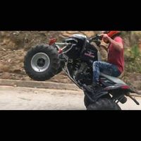 Foto del perfil de Daniel Molina