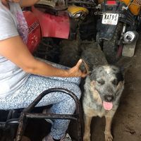 Foto del perfil de Mario Martinez