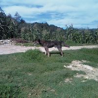 Foto del perfil de Gilberto Leon
