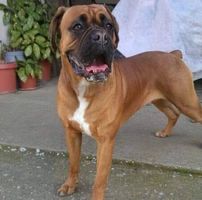 Foto del perfil de Alejandro Guerra Rebollo