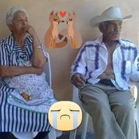 Foto del perfil de Mario Hernandez