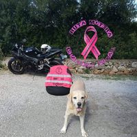 Foto del perfil de Vanessa Medina Suarez