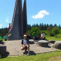 Foto del perfil de Pello Tejeria Intxausti