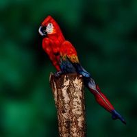 Foto del perfil de Diego Jimenez Ruiz