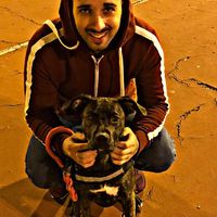 Foto del perfil de Aitor Mena Neila