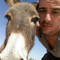Foto del perfil de Xavier Duran-Sindreu
