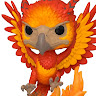 Foto del perfil de fenix bp