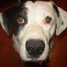 Foto del perfil de abel sebastian vasquez salgado