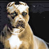 Foto del perfil de Morix Gavilanes