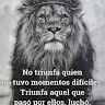 Foto del perfil de Antonio Puertas