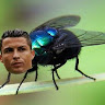Foto del perfil de RAFAEL TALAVERA CARRILLO -3B-