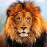 Foto del perfil de Javiup 19mr