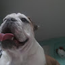 Foto del perfil de Jose Manuel Macias