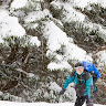 Foto del perfil de Tomas Ponz