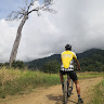 Foto del perfil de Luis Alfaro