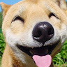 Foto del perfil de firugame