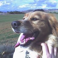 Foto del perfil de gsxr750