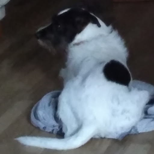 Foto del perfil de Estrellita77 Falipina