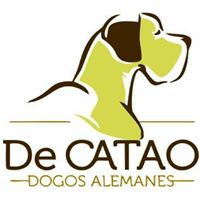 Foto del perfil de David De Catao Camacho