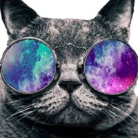Foto del perfil de Brandon Garcia