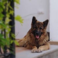 Foto del perfil de Ximo Vicent Belda