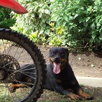 Foto del perfil de Ezequiel Houlmann