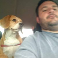 Foto del perfil de Federico M Sastre