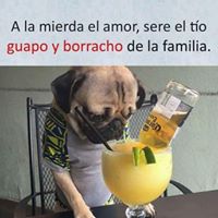 Foto del perfil de Raul Cartagena