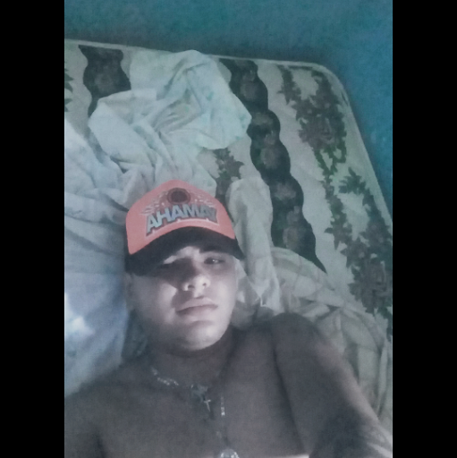 Foto del perfil de pollito Vera