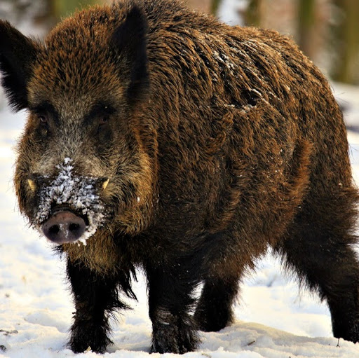 Foto del perfil de Alex Lucas Garcia