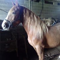 Foto del perfil de Marcos Fernandez Gonzalez