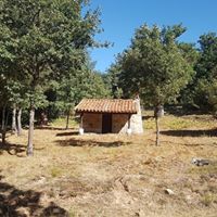 Foto del perfil de Jose Luis Lafuente