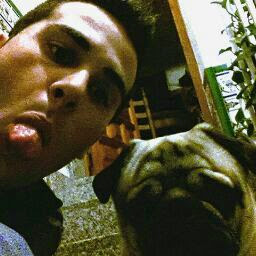 Foto del perfil de Noel sanchez