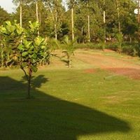 Foto del perfil de David Maria Heinrichs