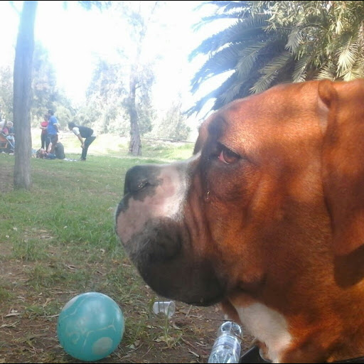 Foto del perfil de Alejandro Alvarez