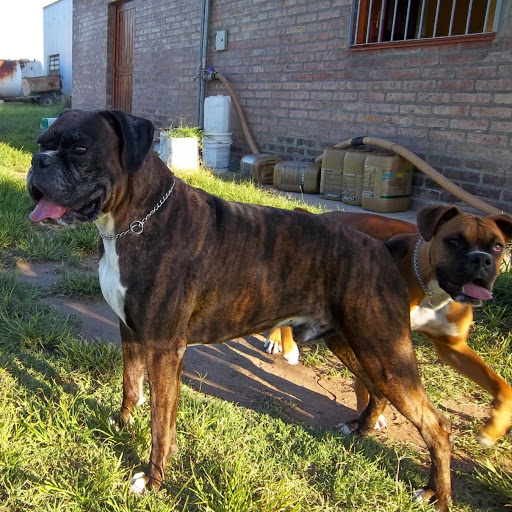 Foto del perfil de Fede Cena