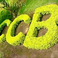 Foto del perfil de Ccarlos Zaragoza
