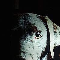 Foto del perfil de Juan Ignacio Marquez H