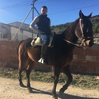 Foto del perfil de Juan Manuel Albaladejo Gomez