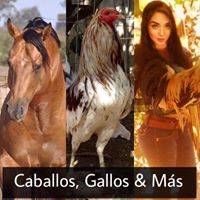 Foto del perfil de Rodrigo Rivera