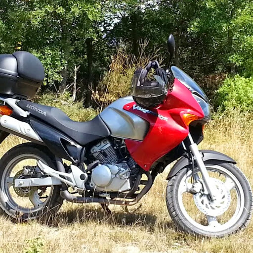Foto del perfil de Javi Ortiz