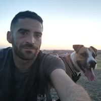 Foto del perfil de David Alonso Fernandez