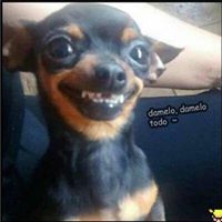 Foto del perfil de David Luis