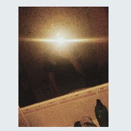 Foto del perfil de hector gv