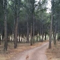Foto del perfil de Mari Granados Sanchez