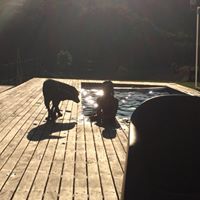 Foto del perfil de Rafael Dasilva