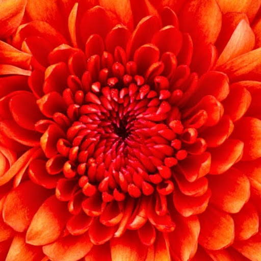 Foto del perfil de Antonio M.