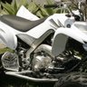 Foto del perfil de alejandro german